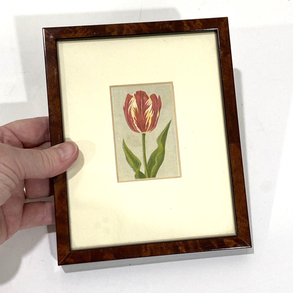 Antique 1916 Lithograph Artwork 'Rose by Bloem' Floral Print Small Wood Framed - Picture 7 of 7